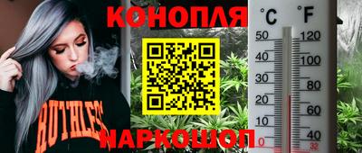 мяу мяу мука Комсомольск-на-Амуре
