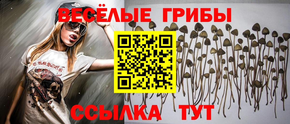 Псилоцибиновые грибы MAGIC MUSHROOMS Жуковский
